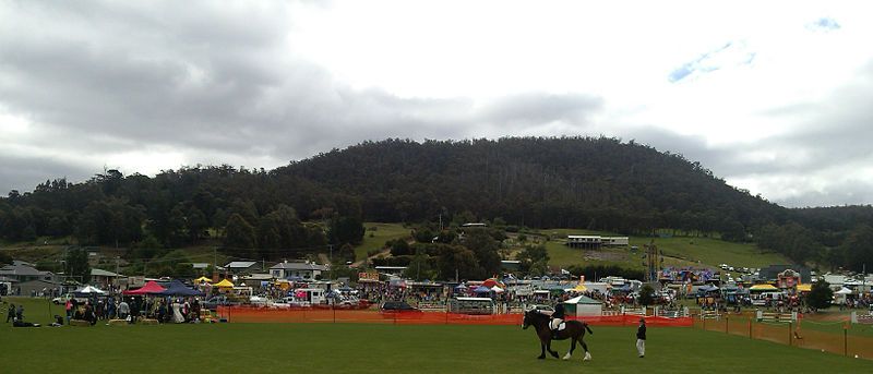 File:Huon show 2014.jpg