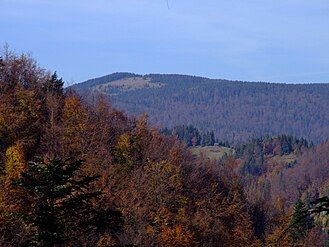 View of Kiczora from the ridge of Lubań