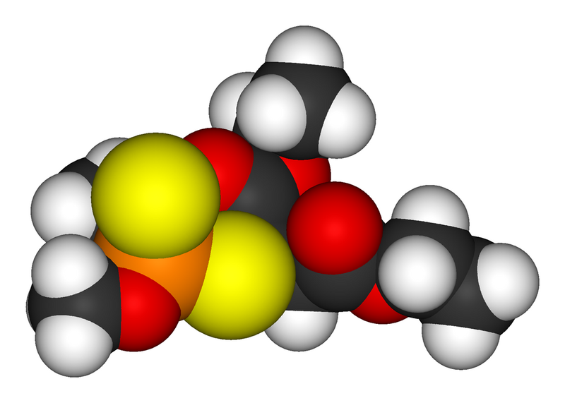 File:Malathion-3D-vdW.png