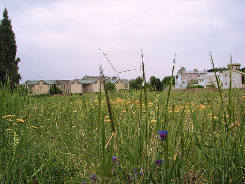 File:Mehrshahr-in-spring.jpg