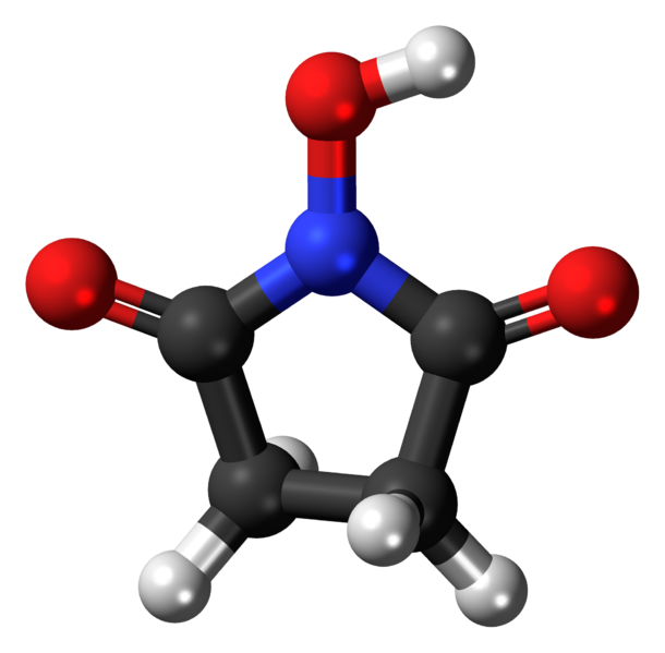 File:N-Hydroxysuccinimide 3D ball.png