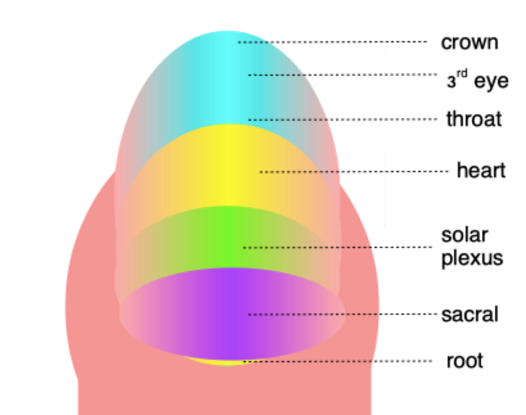 File:Onychomancy finger chart.png