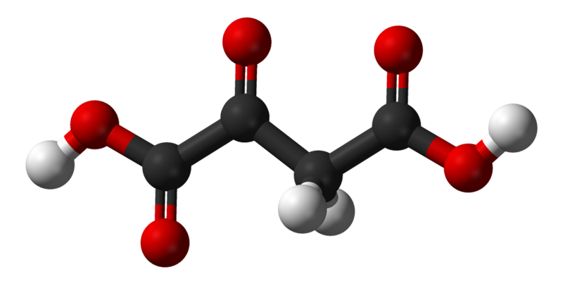 File:Oxaloacetic-acid-3D-balls.png