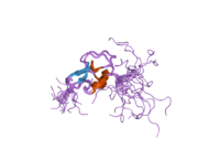 1wvo: Solution structure of RSGI RUH-029, an antifreeze protein like domain in human N-acetylneuraminic acid phosphate synthase gene.