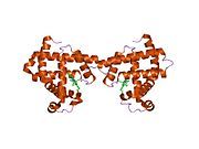 1ycb: DISTAL POCKET POLARITY IN LIGAND BINDING TO MYOGLOBIN: DEOXY AND CARBONMONOXY FORMS OF A THREONINE68 (E11) MUTANT INVESTIGATED BY X-RAY CRYSTALLOGRAPHY AND INFRARED SPECTROSCOPY