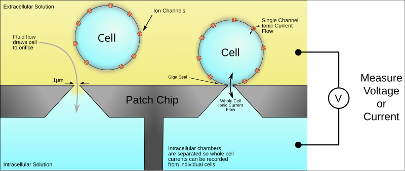 File:Patch Clamp Chip.svg