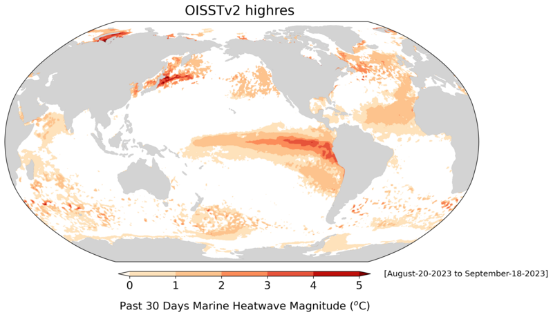 File:Recent marine heatwaves.png