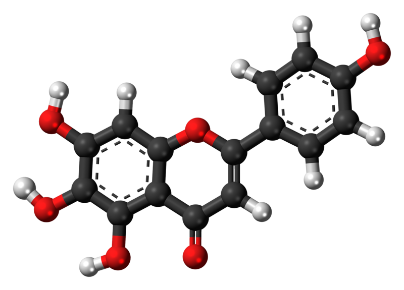 File:Scutellarein molecule ball.png