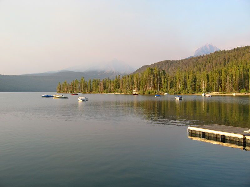 File:Smoky Redfish.JPG