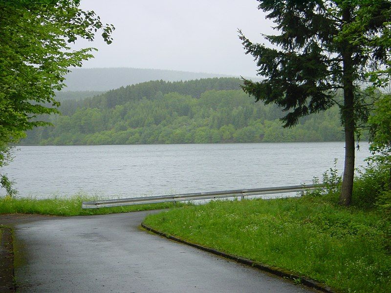 File:Steinbachtalsperre (Rheinl-Pfalz) Stausee.jpg