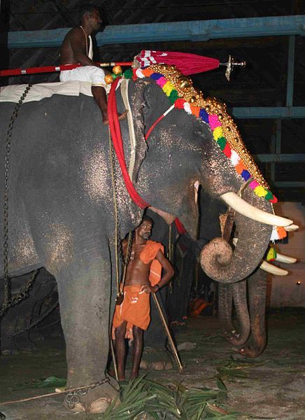 File:Thrippunithura-Elephant1 crop.jpg