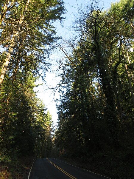 File:US-WA-Olympia-PriestPointPark-2013.01.12-026.JPG