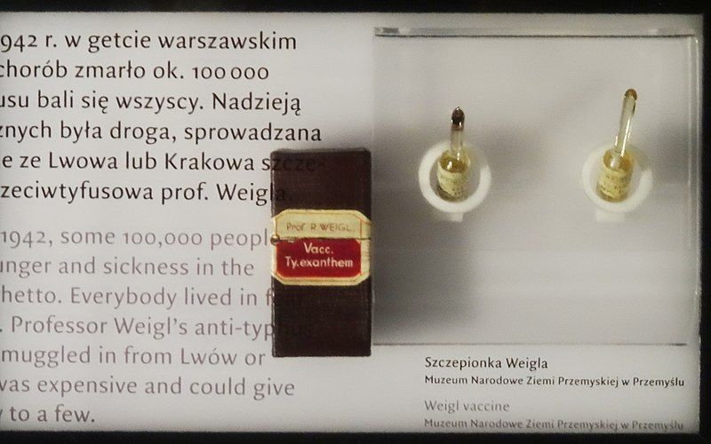 File:Weigl vaccine.jpg