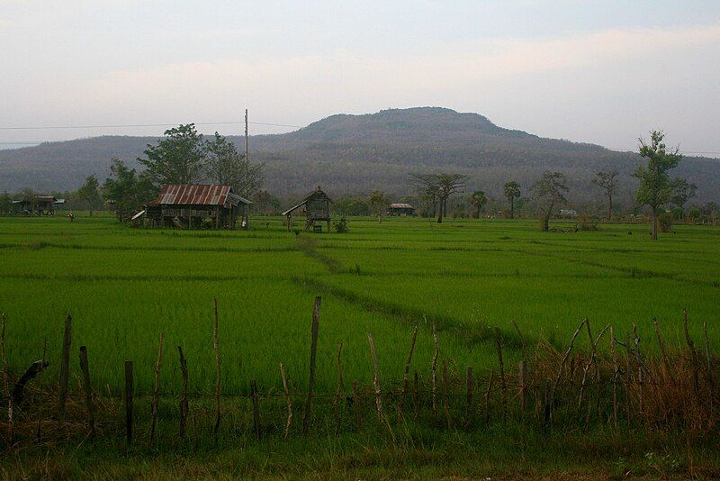 File:Attapeu rice fields.jpg