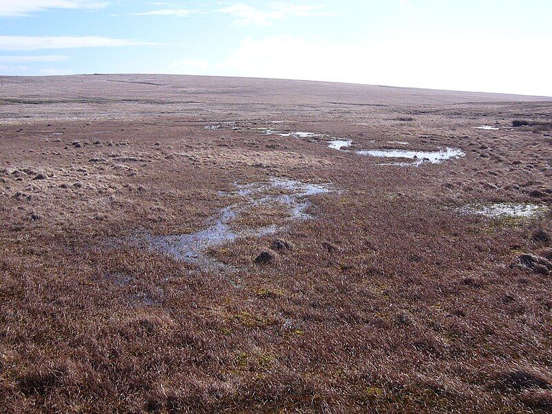 File:Aune head mire3.jpg