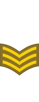 Sergeant