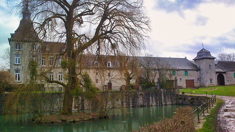 File:Château-ferme d'Avionpuits.jpg