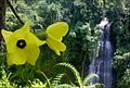 Cimandaway waterfall at district Dayeuhluhur, at Cikawalon River West Cilacap.[32]