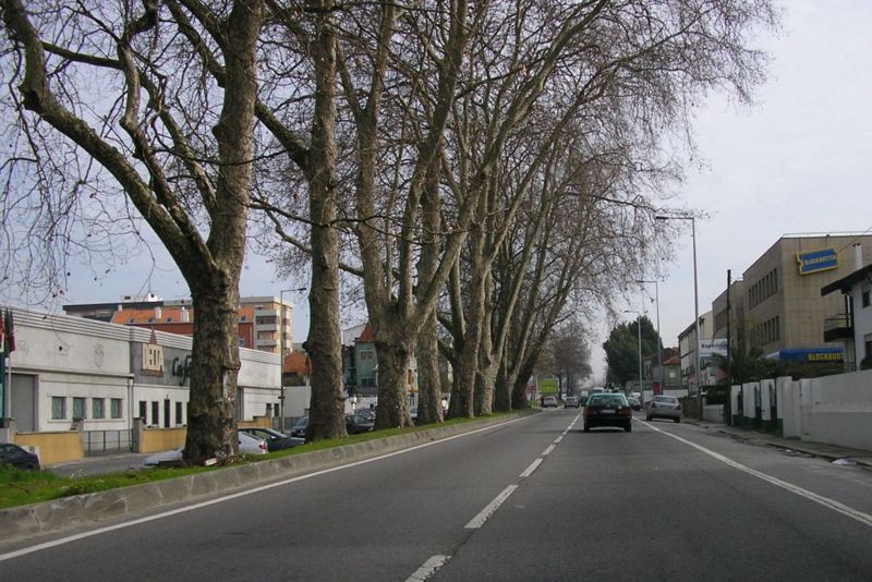 File:Circunvalacao (Porto).JPG