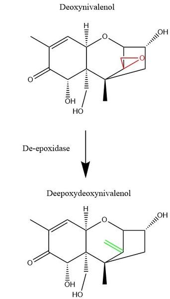 File:Deepoxydation.jpg