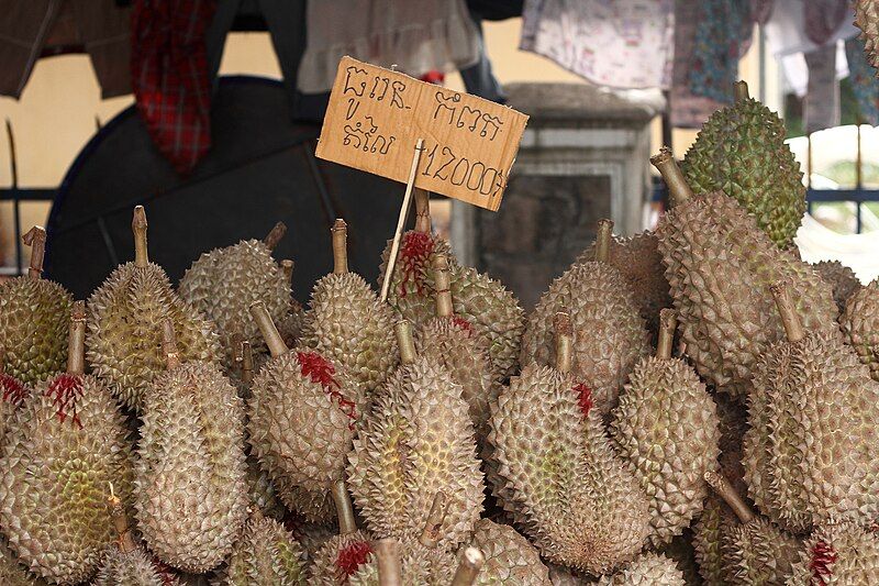 File:Durians in Cambodia.jpg