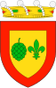 Coat of arms of Bagà