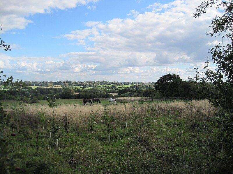 File:Glebe Lane Pastures.JPG