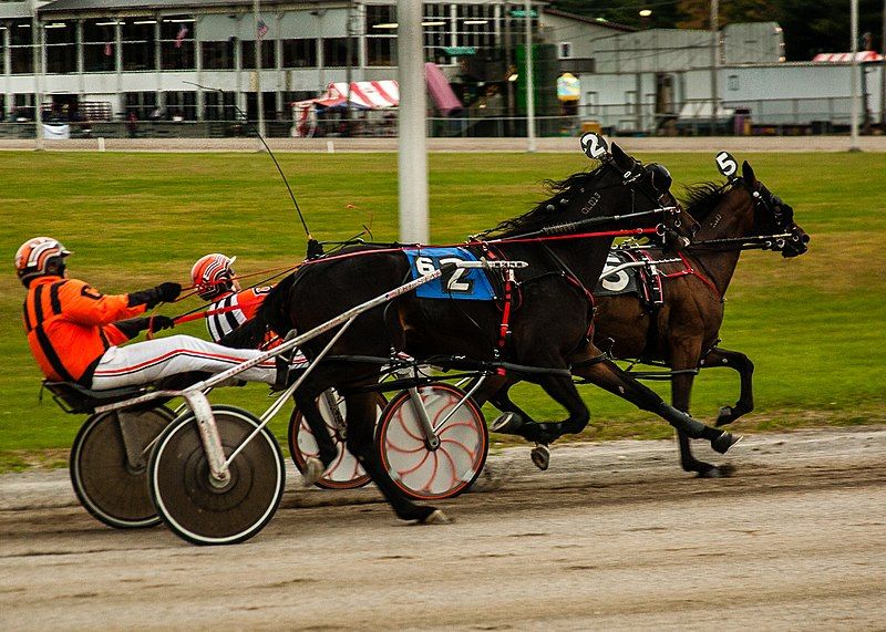 File:Harness Racers (21766576679).jpg