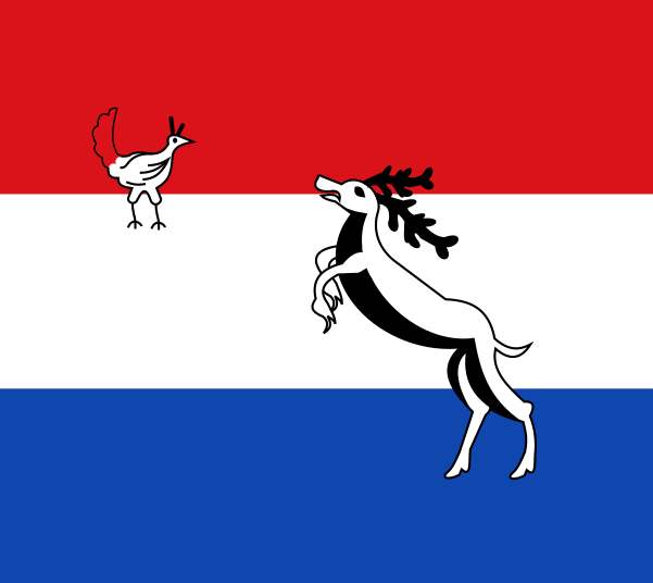 File:Hindeloopen vlag 1650.svg