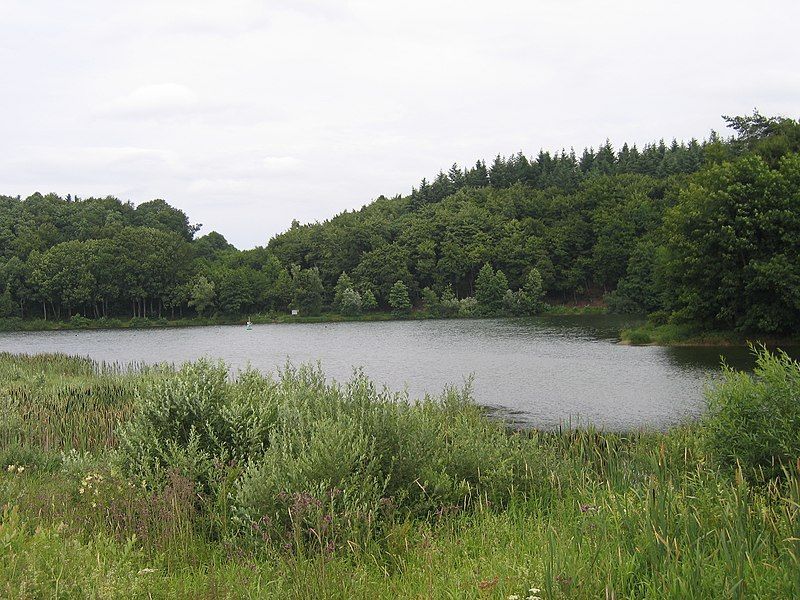 File:Holzmaar01.jpg