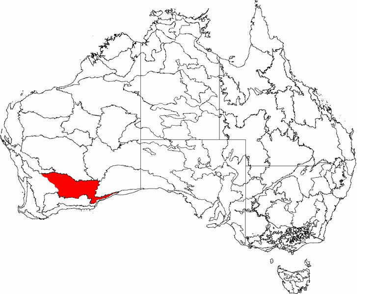 File:IBRA 6.1 Coolgardie.png