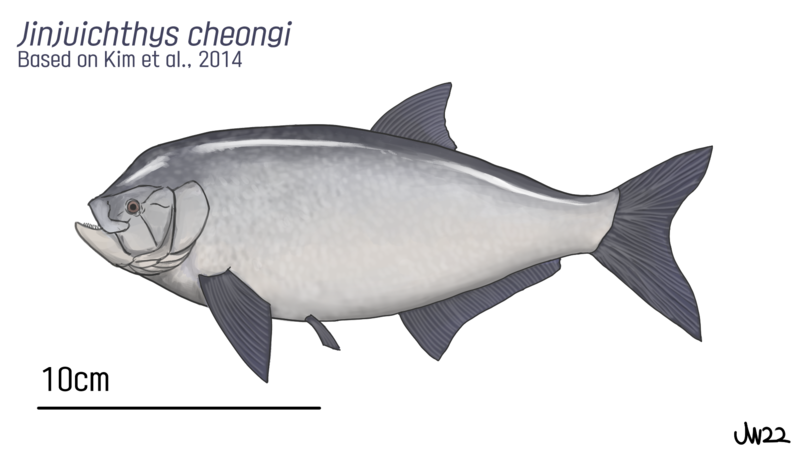 File:Jinjuichthys.png