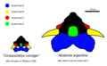 Ontogeny/Comparisson between Niolamia and Crossochelys