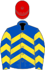 ROYAL BLUE and YELLOW CHEVRONS, red cap