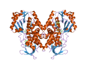 2bxr: HUMAN MONOAMINE OXIDASE A IN COMPLEX WITH CLORGYLINE, CRYSTAL FORM A