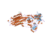 2eau: Crystal structure of the SR CA2+-ATPASE with bound CPA in the presence of curcumin