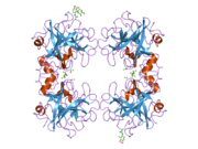 2f9p: Crystal Structure of the Recombinant Human Alpha I Tryptase Mutant D216G in Complex with Leupeptin