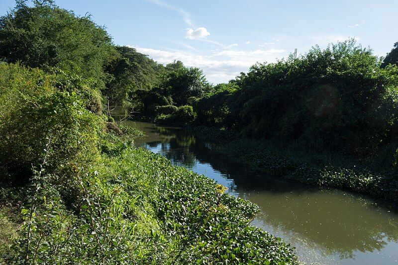 File:Río Jaibo DSC01626.jpg