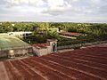 Roof Garden