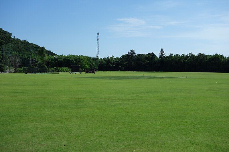 File:Sano-International-Cricket-ground.jpg