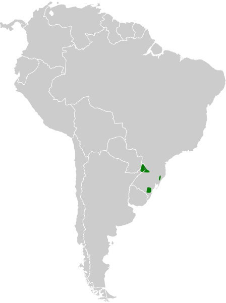 File:Scytalopus pachecoi map.svg