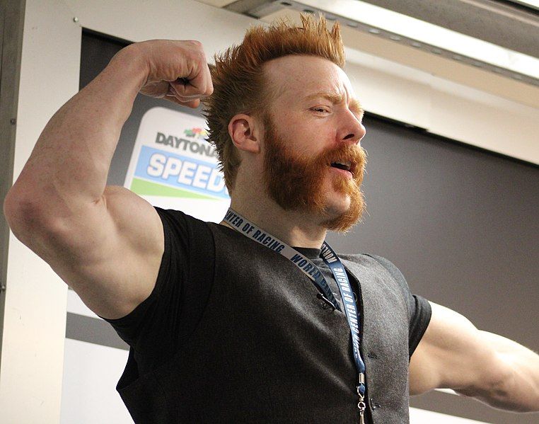 File:Sheamus (49562239306).jpg