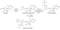 Sofosbuvir mechanism