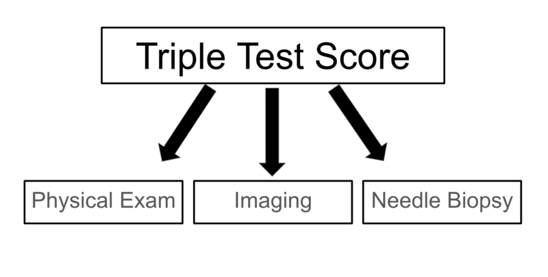 File:TTS components diagram.png