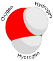 Water molecule.png