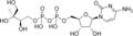 4-diphosphocytidyl-2-C-methylerythritol (CDP-ME)