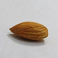 macro of Almond