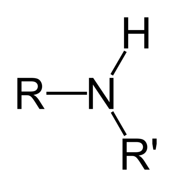 File:Amine-(secondary).png