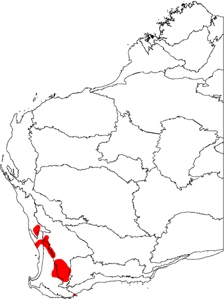 File:Banksia nobilis map.png