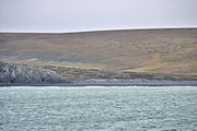 Belkovsky Island, Thilo Bay (Anzhu Islands; 75°35’30’’N, 135°38’44’’E)